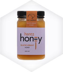 Blackcurrant Honey header image